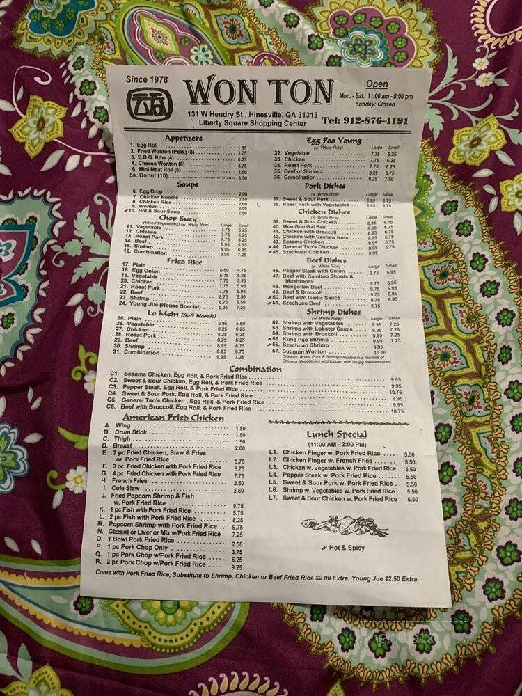 Won Ton Chinese Food - Hinesville, GA