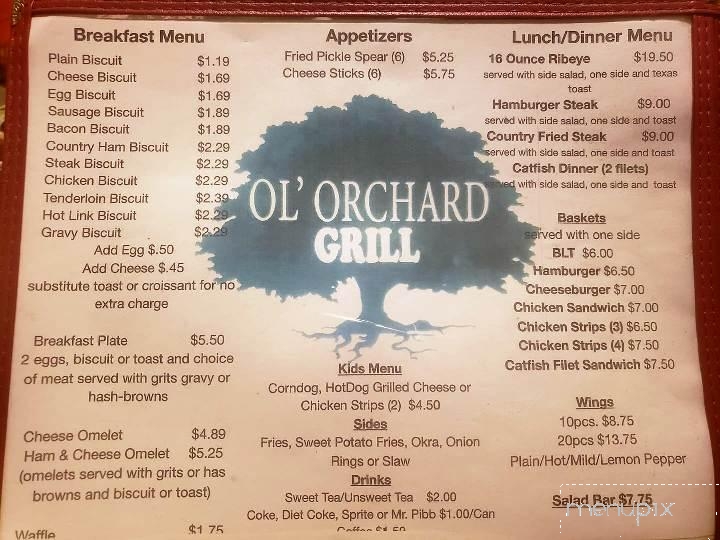 Ol Orchard Grill - Washington, GA